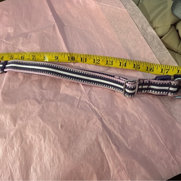 Blueberry Pet 3M Reflective Dog Collars | Adjustable Dog Collar w/Multi-Colored - Picture 5 of 11